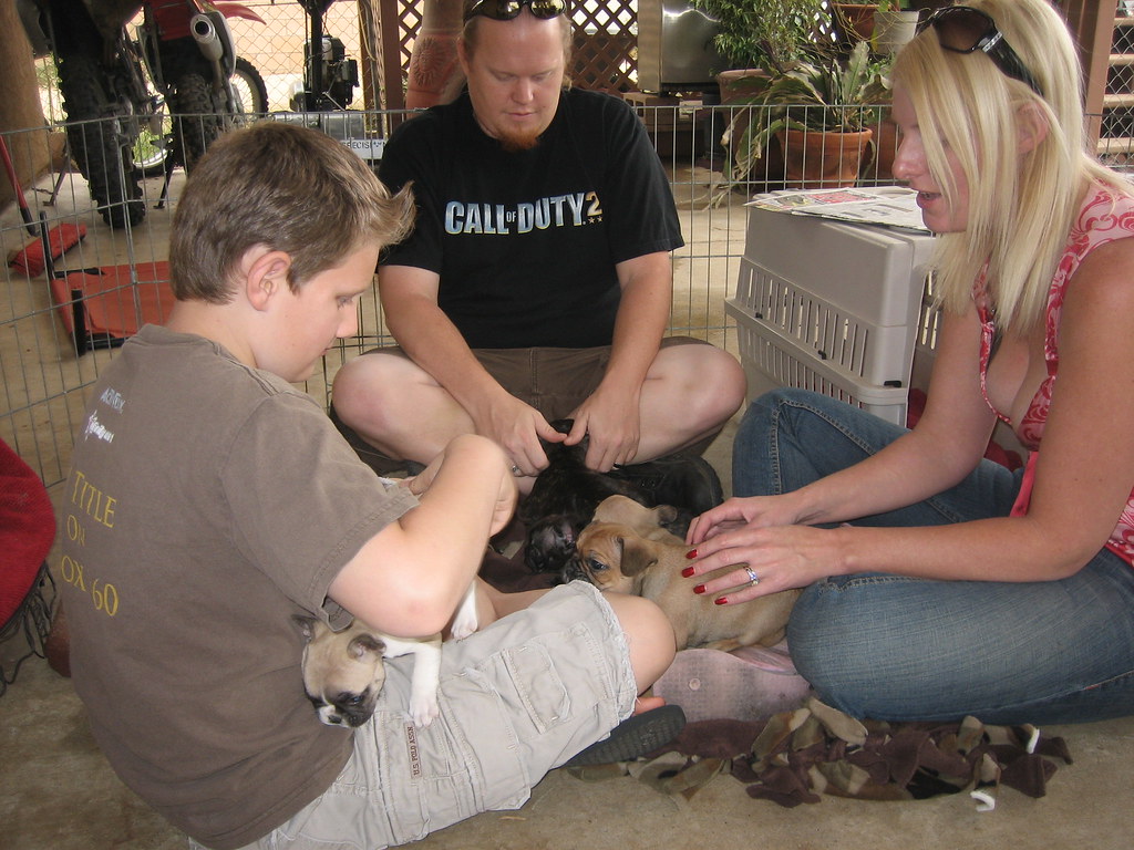 Jessica and husband French Bulldog breeders for adoption and rehoming