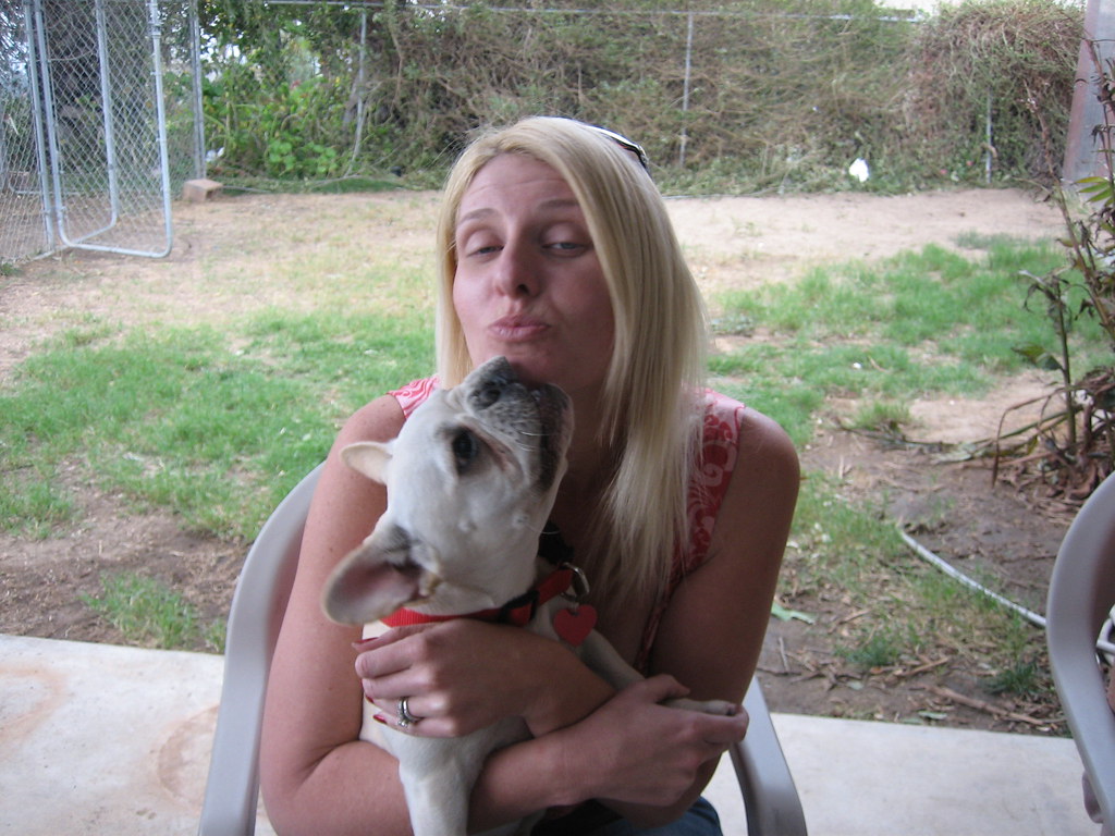 Close-up of a healthy, playful French Bulldog puppy from Jessica’s adoption and rehoming program